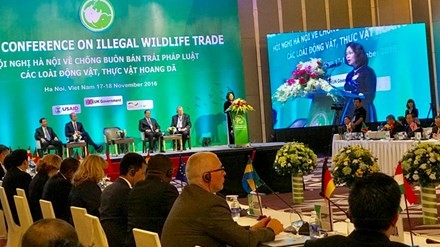 Le Vietnam lutte contre le trafic d’espèces sauvages - ảnh 1