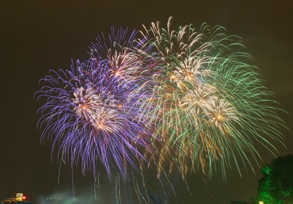 各国も旧正月を祝う - ảnh 1