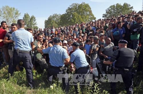 スイス、難民1500人受け入れ表明 - ảnh 1