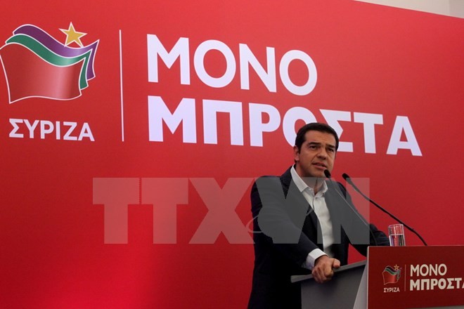 ギリシャ議会選挙投票始まる 激しく競り合う - ảnh 1
