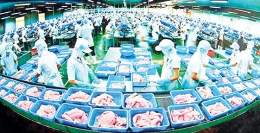 23箇所のナマズ経営施設がアメリカ基準を満たす - ảnh 1