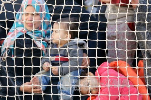 イタリア沖で移民ら800人超を救助、シリア人多数 - ảnh 1