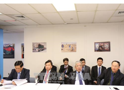 L’ONU facilite la participation du Vietnam aux opérations de maintien de la paix - ảnh 1