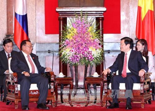 サン主席、ラオス、及びカンボジア代表団と会見 - ảnh 1