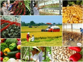 Verordnung der Regierung zur Umstrukturierung des Landwirtschaftszweigs - ảnh 1