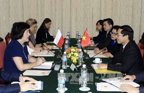 Politische Konsultation zwischen Vietnam und Polen - ảnh 1