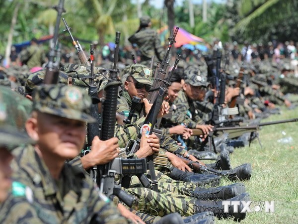 Vietnam verpflichtet sich, gemeinsames Ziel der Abrüstung anzustreben - ảnh 1