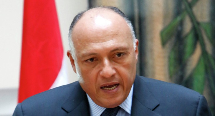 Ägypten und Vereinigte Arabische Emirate etablieren politische Konsultationen - ảnh 1