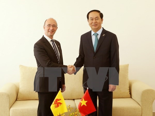 President Tran Dai Quang wraps up overseas trip - ảnh 1