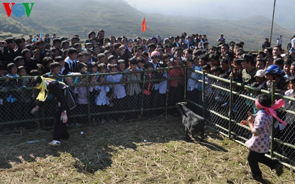 Gau Tao-Frühlingsfest am Bergfuß Ngu Chi Son - ảnh 6