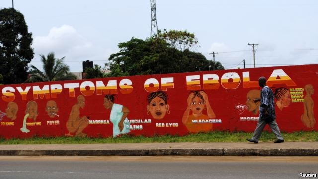 WHO rief alle Länder in der ostasiatisch- pazifischen Region zur Vorbeugung gegen Ebola auf - ảnh 1