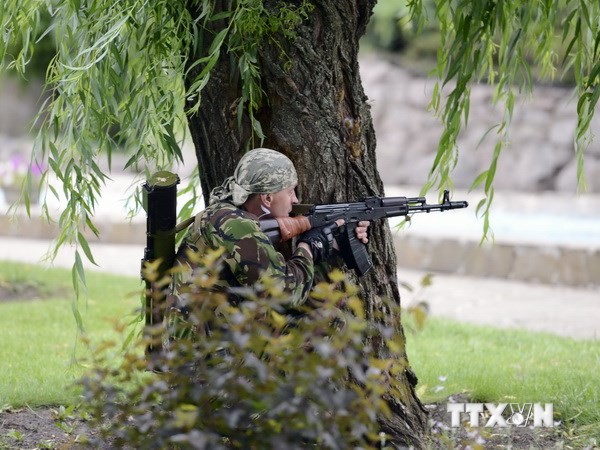 Россия, Франция и Германия прилагают усилия для поиска выхода из кризиса на Украине - ảnh 1
