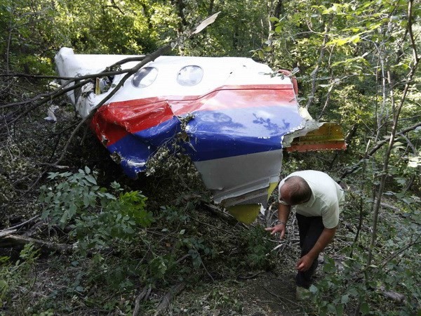 Данные черных ящиков самолета рейса МH17 переданы нидерландским следователям - ảnh 1