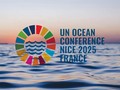 Tercera Conferencia de la ONU sobre los Océanos: se espera un punto de inflexión en la protección marina