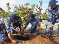 Patrocinarán programa “Hacer verde Truong Sa”