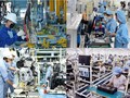La industria de procesamiento y manufactura, base para fortalecer la competitividad nacional