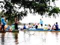 Tourists flock to Mekong Delta during flood season