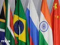 Kremlin announces nine countries to become BRICS partners in 2025