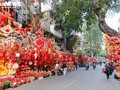 La magie du Têt sur la rue Hàng Ma: décorations et traditions en fête