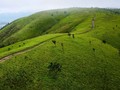 Perkenalkan Padang Rumput Pal Sol 