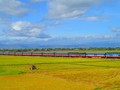 Perkenalkan tentang Jalur  Kereta Api Thong Nhat Bac - Nam