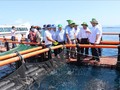 Khanh Hoa advances high-tech marine farming