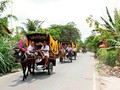 Year of the Horse: Horse carriage rides on Thoi Son islet