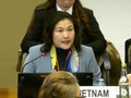 Vietnam verteidigt erfolgreich seinen 9. Nationalen Bericht über die Umsetzung der Frauenrechtskonvention