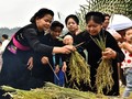 꼼 찧는 축제 - 뚜옌꽝성 따이족의 독특한 전통 문화