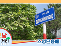 ≪베트남 거리거리 알아보기≫ 13회: 즈엉딘응에(Dương Đình Nghệ) 거리