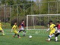 스포츠 통해 재한 베트남 공동체 단결 강화