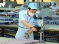 베트남 기업들, 수출 주문 확보 위한 생산 강화