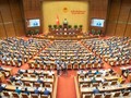 15대 베트남 국회 제9차 회의 3주차, 입법 활동에 초점