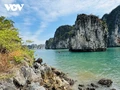 Des destinations touristiques attrayantes de Quang Ninh