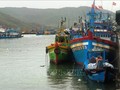 Binh Dinh province clamps down on IUU fishing