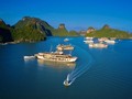 Steering committee for management of world heritage Ha Long Bay-Cat Ba archipelago established 