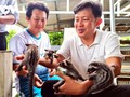 ジャコウネコの飼育で億万長者になったフィン・タイン・フンさん