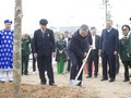 全国各地における植樹運動