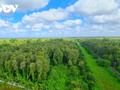 カマウ省のウーミンハー森の探検