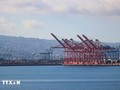 トランプ大統領 パートナー国への関税を新たに通知