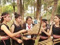 ベトナムの民謡楽器トルンを使った音楽