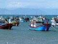 Phu Yen province combats IUU fishing