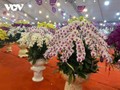 Flower markets crowded before Tet