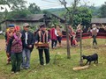 Pa Co people celebrate “sacred connection with Mountain God”