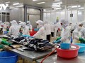 Seafood exports continue to see strong growth