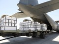 World alarmed by starving Palestinians rush to deliver aid to Gaza