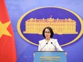 Vietnam pursues sustainable marine economic development: FM spokesperson