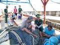 Vietnam works toward sustainable fisheries sector