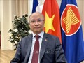 Vietnam's highest commitment to Francophone community’s development: ambassador