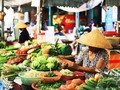 Multilateral, multisectoral partnership agreement to boost food transformation in Vietnam